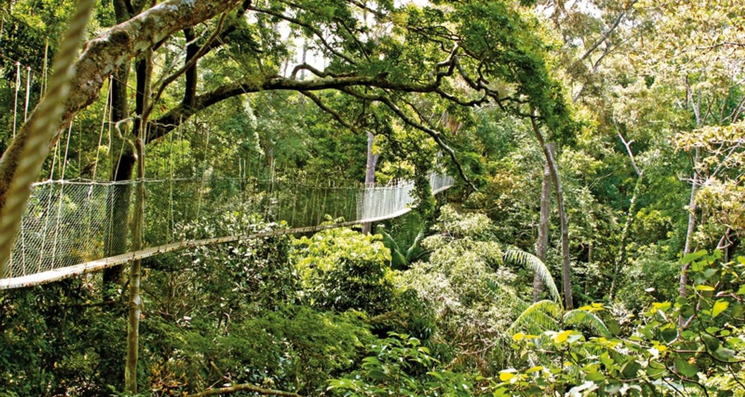 Taman Negara Nationalpark Reisen