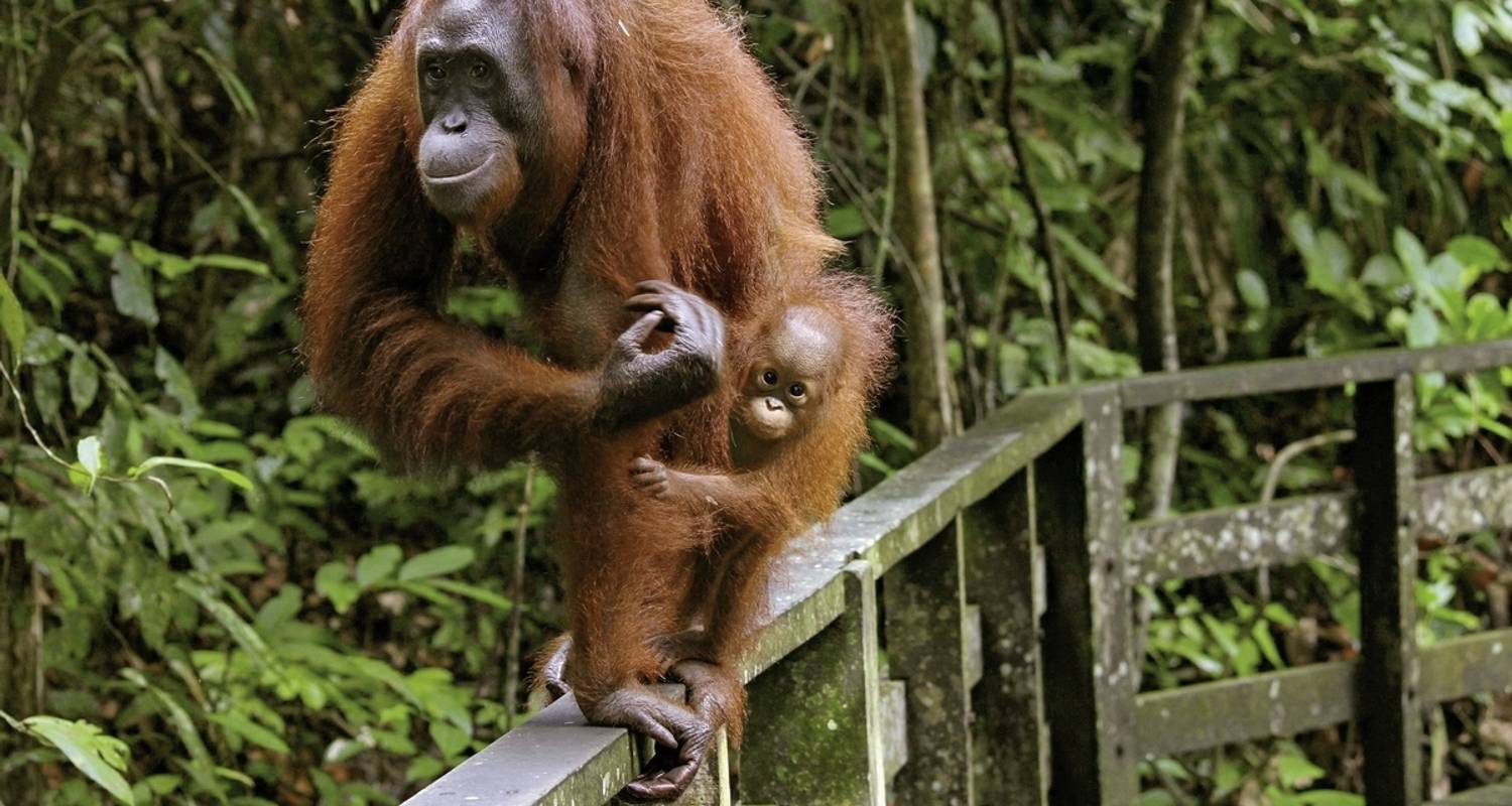 Borneo Städtereisen