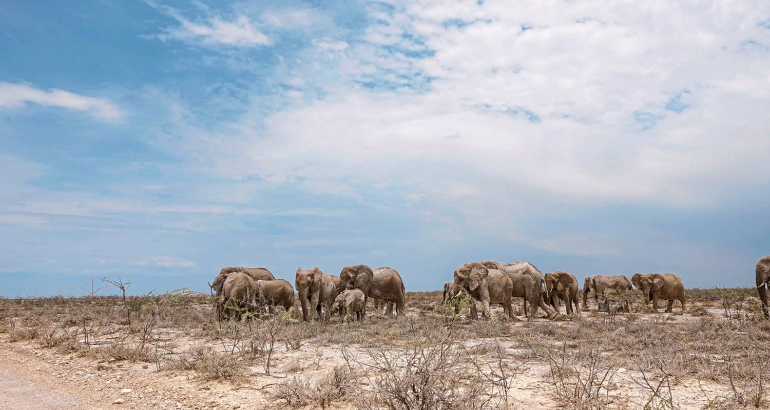 Ontdekkingsreis door Namibië (noordwaarts) - DERTOUR