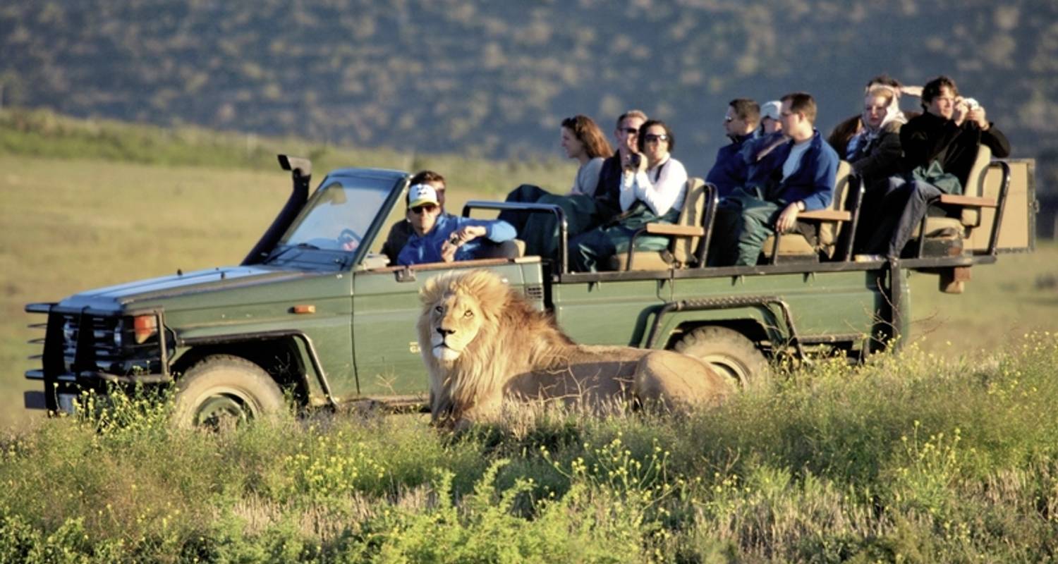 Safari Tours & Trips in Garden Route