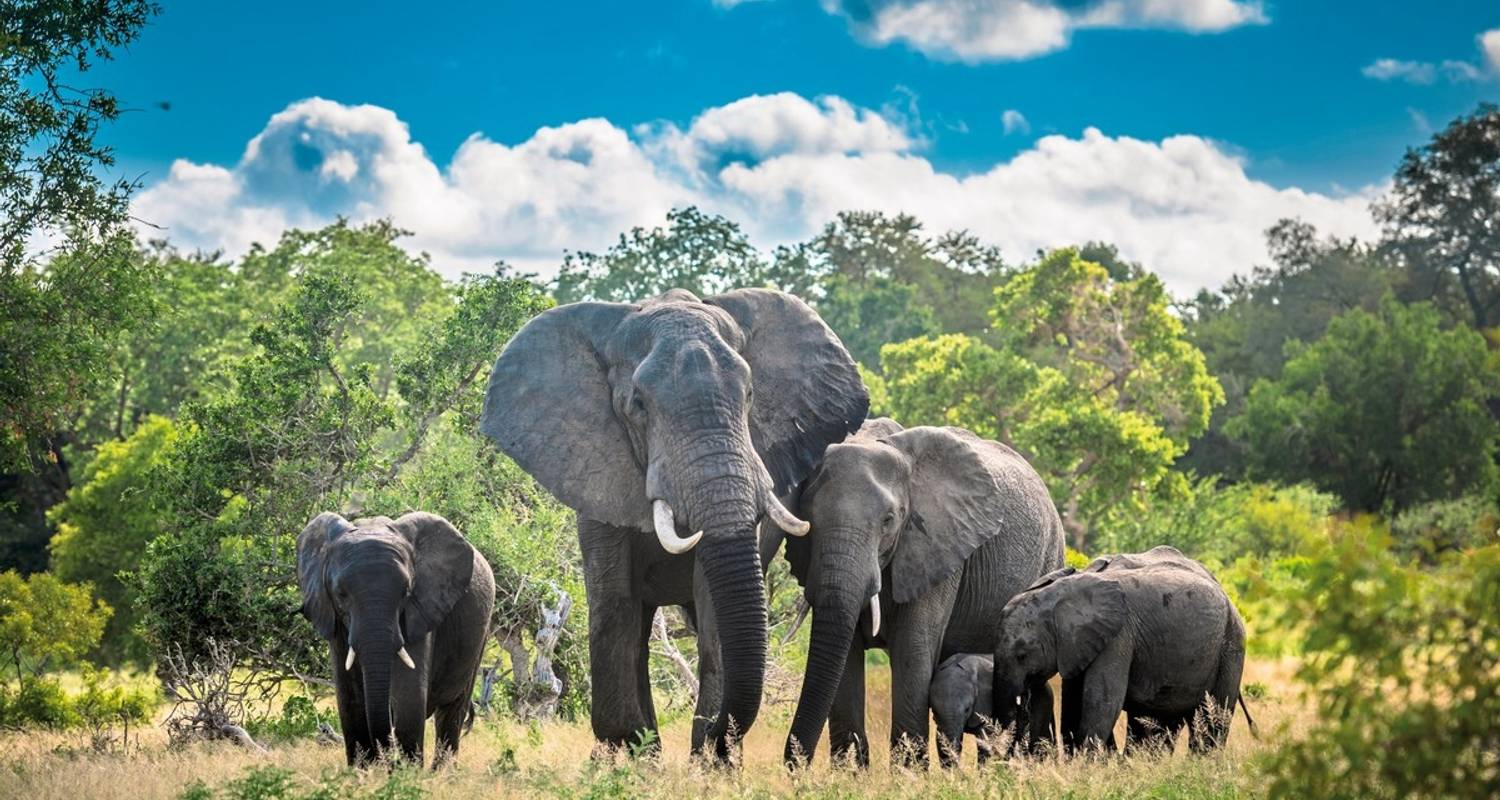 10 Tage Südafrika Rundreisen