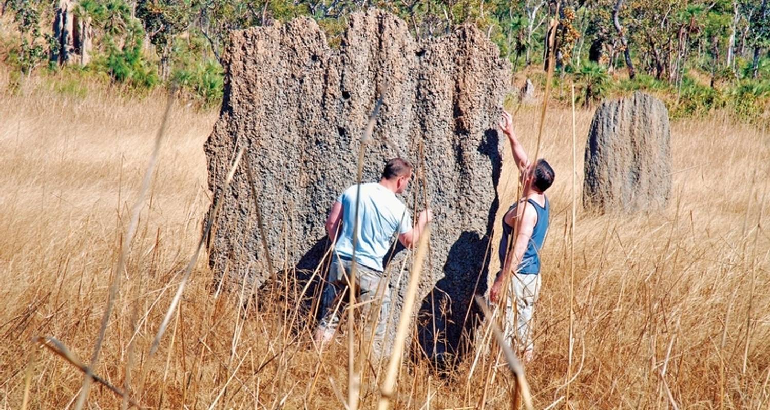 Kakadu auf eigene Faust - DERTOUR