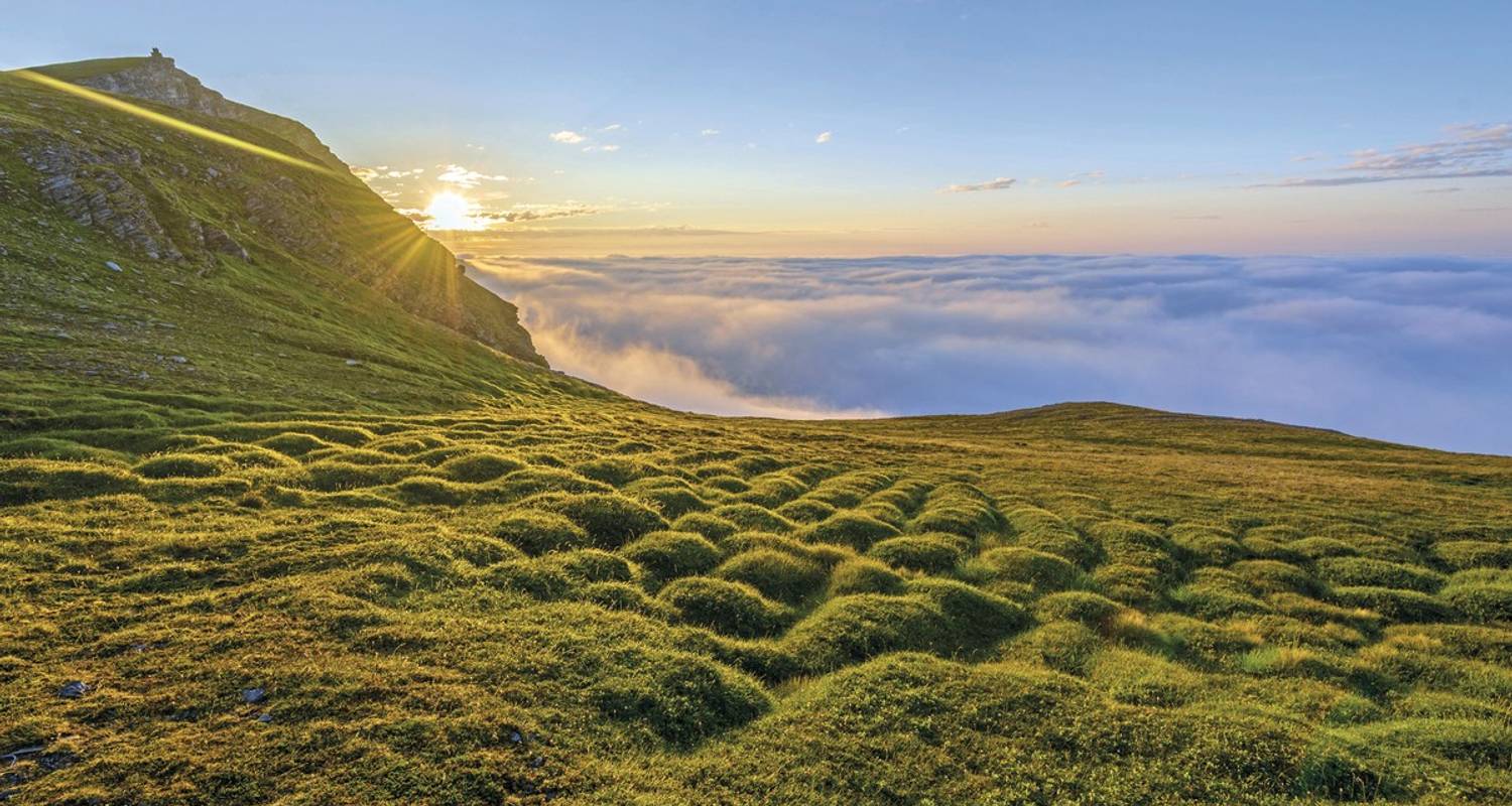 Circuits privés à destination de : Norvège et Suède