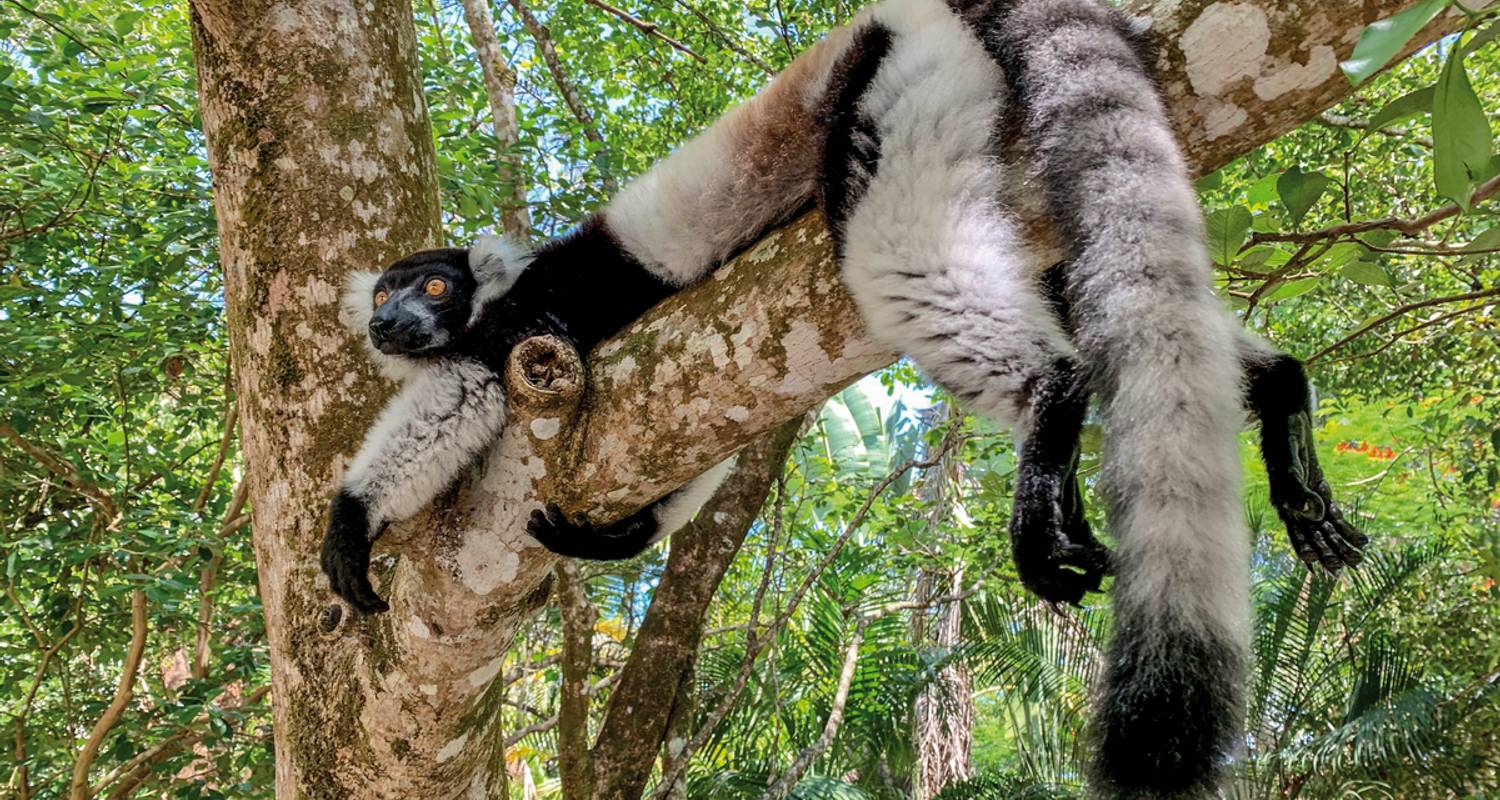 Madagaskar Rundreisen 14 Tage