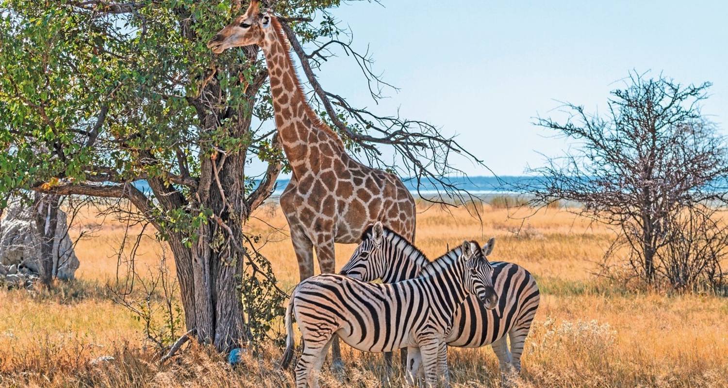 Namibia Clásico Estándar - DERTOUR