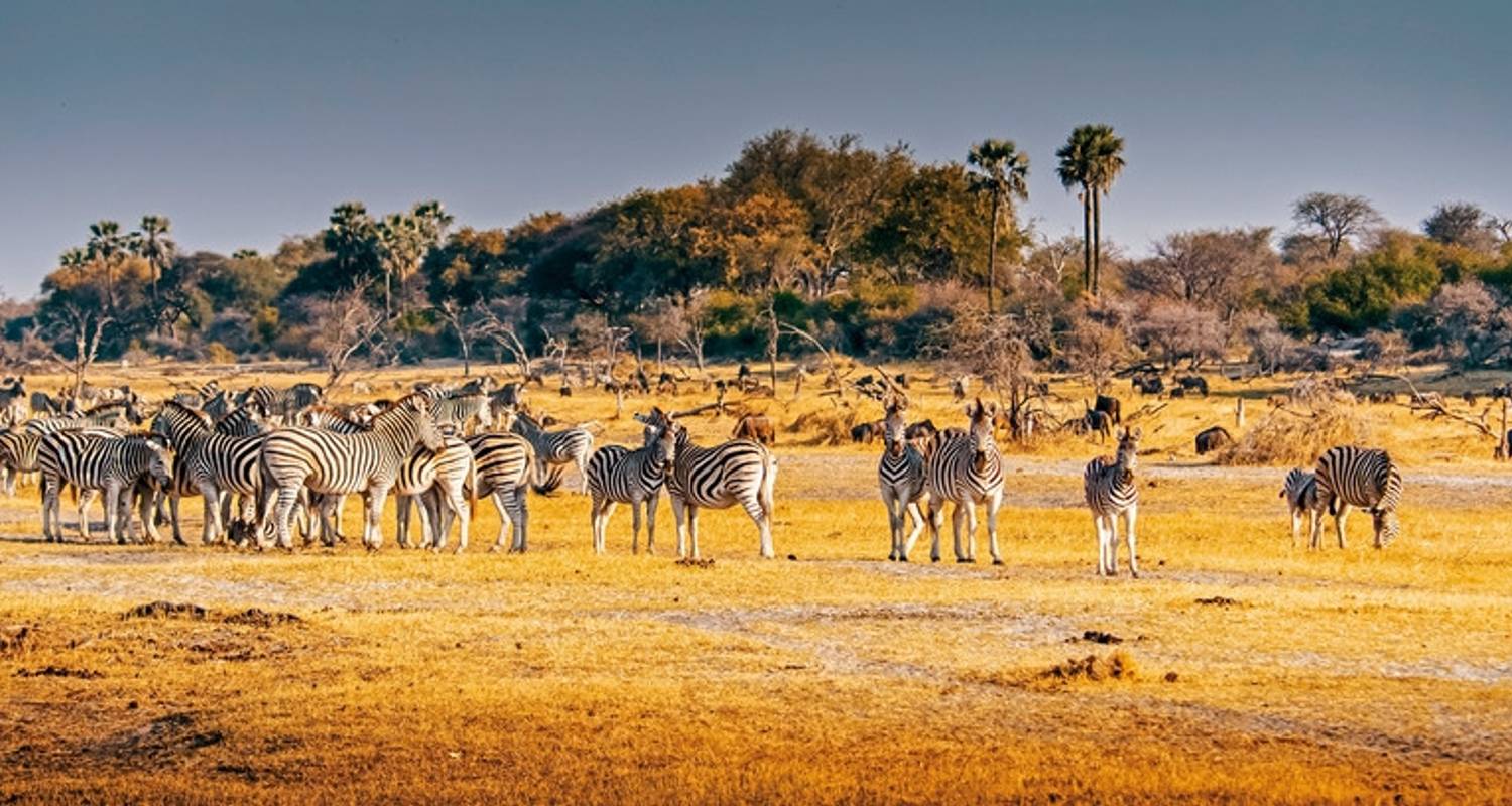 Namibië & Botswana op eigen gelegenheid - DERTOUR