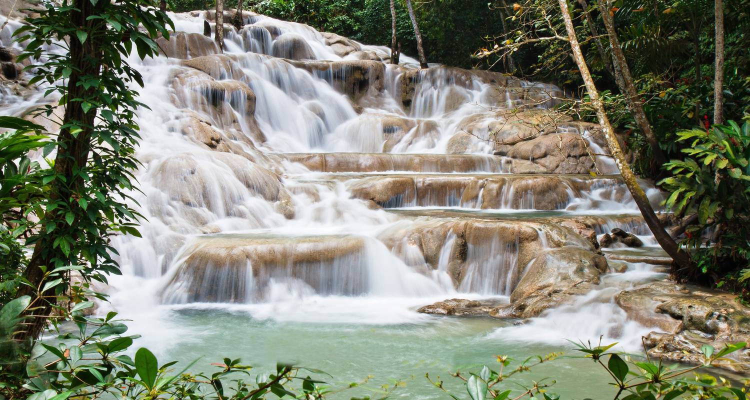 Bus Tours in Jamaica