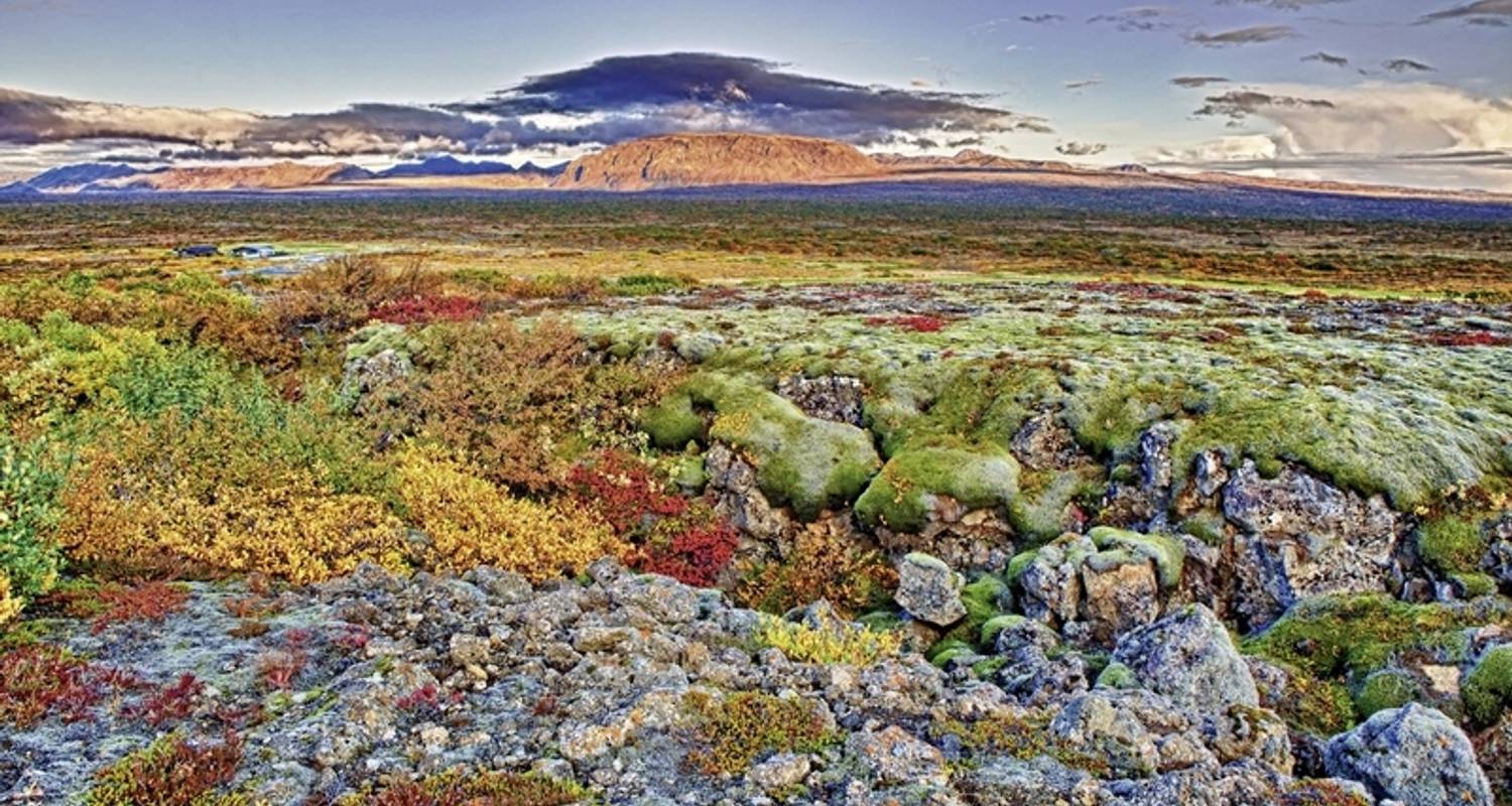 Iceland Beach Tours