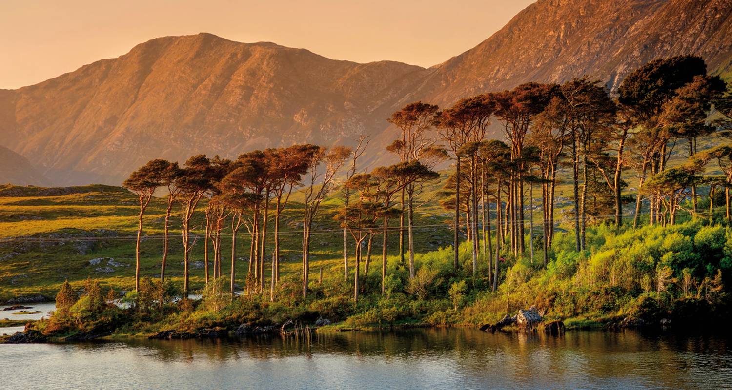 Irland Rundreise im März 2026