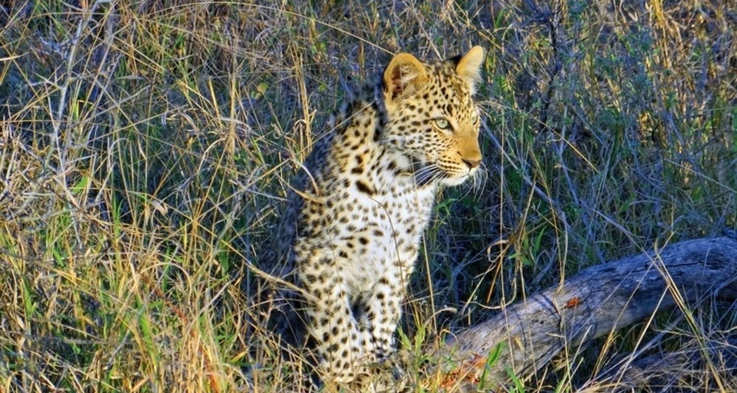 Südafrika Weihnachts- & Silvesterreise Rundreisen