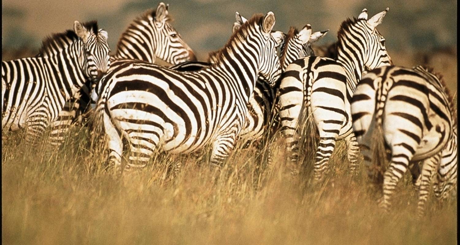 Parc national de Tsavo Safaris