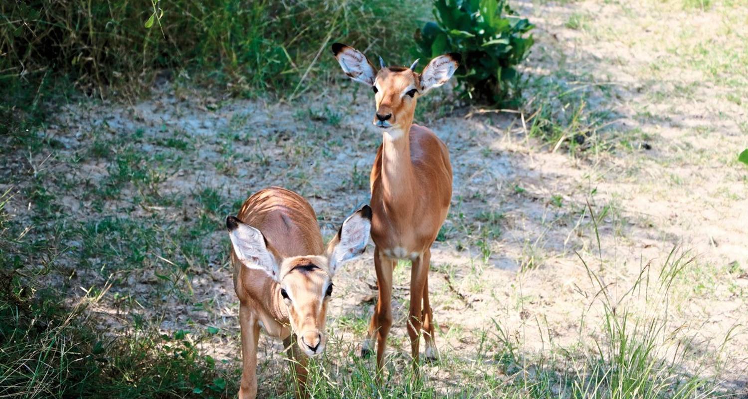 Circuits en Namibie et Zimbabwe
