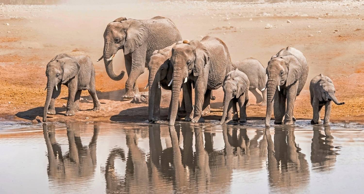 Voyage de rêve en Namibie - DERTOUR