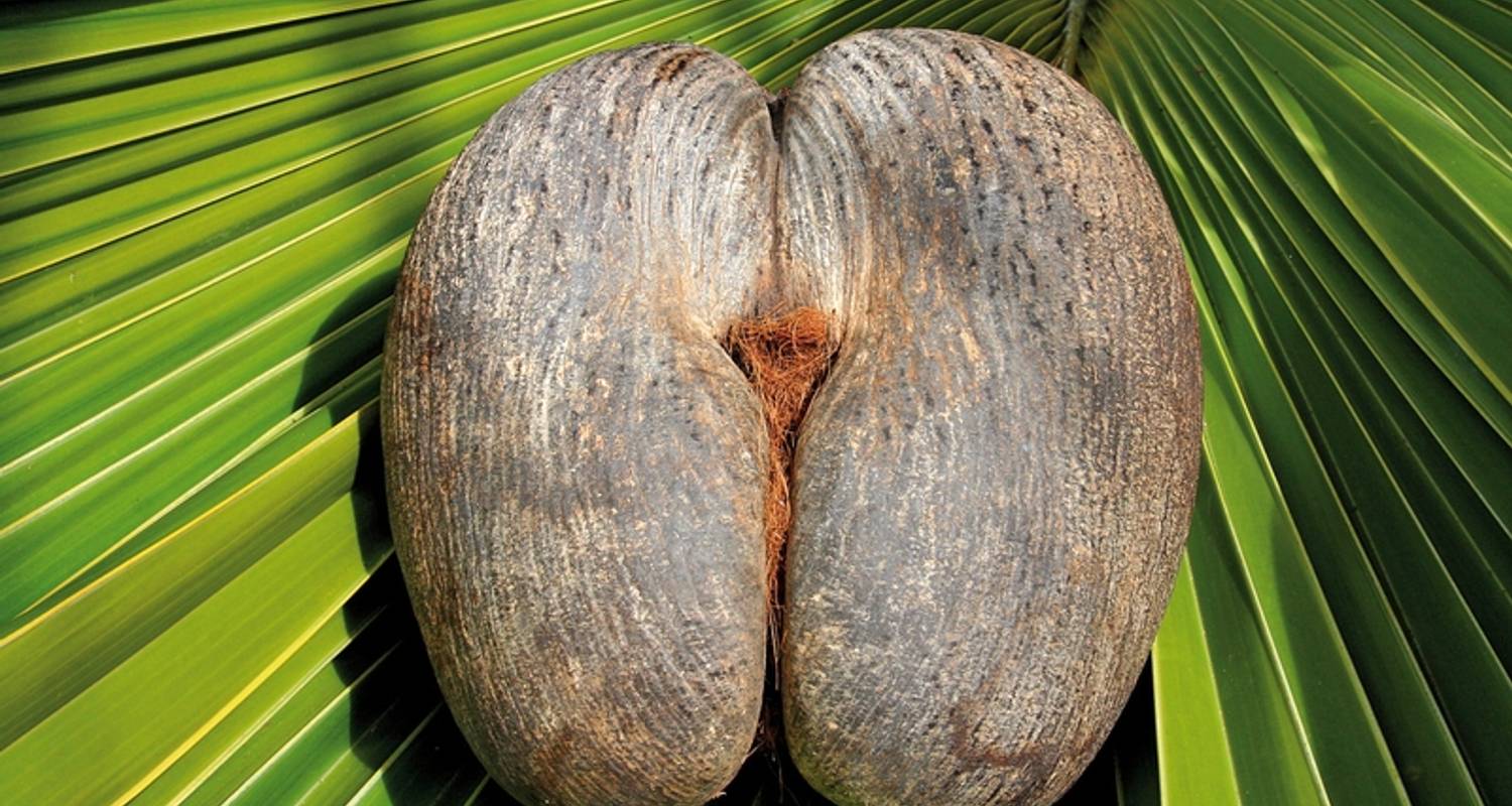 Island Hopping Seychelles (Hotels: middle class, standard transfers, 8 nights)