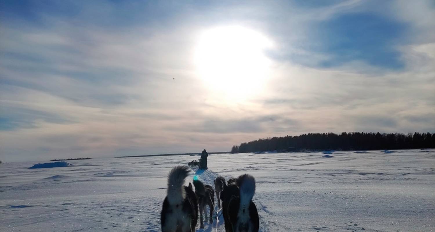 Winterwoche in Lapplands Scharenwelt - DERTOUR