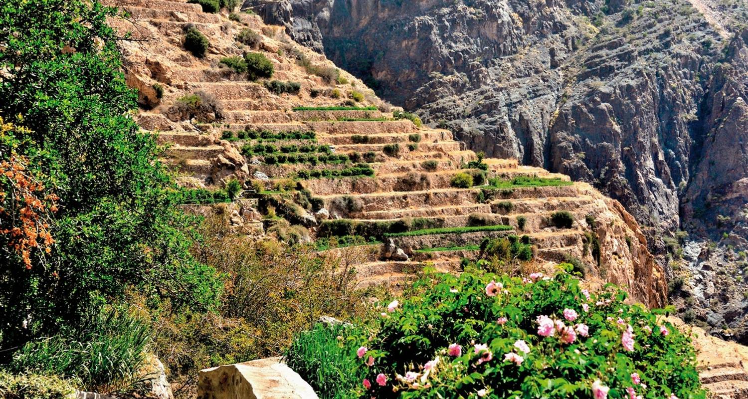 Self-Guided Tours in Oman