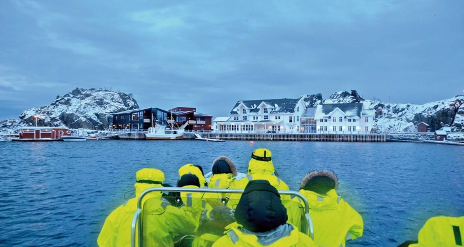 Christmas & New Year Tours & Trips in Lofoten Islands