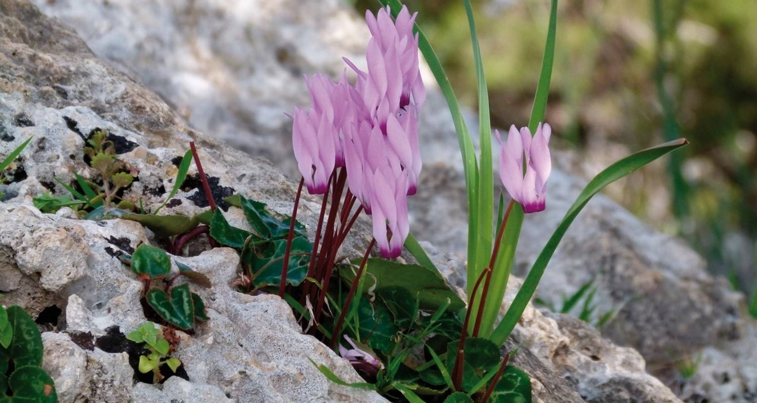 Cyprus for hikers