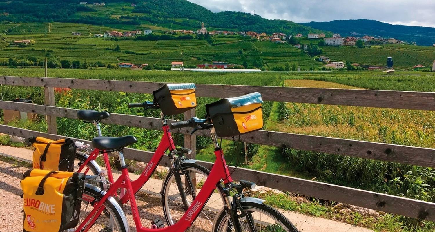 10 Best Mountain Bike Tours in Europe 2024/2025 TourRadar