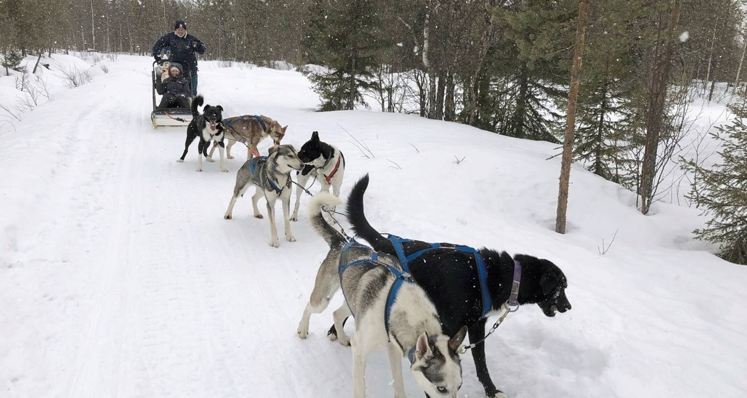 Finnland Rundreise im November 2024