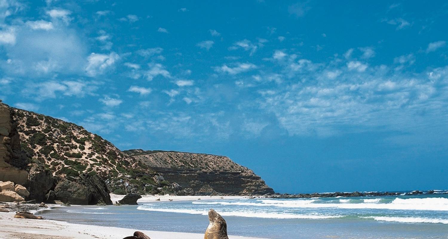 Australia Meridional Circuitos y Viajes en Enero 2026