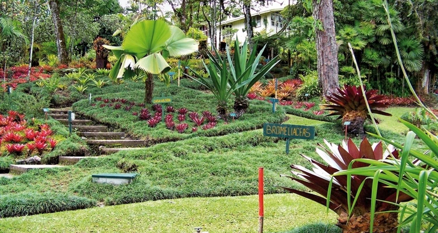 Costa Rica : Aventure pédestre 2025/2026