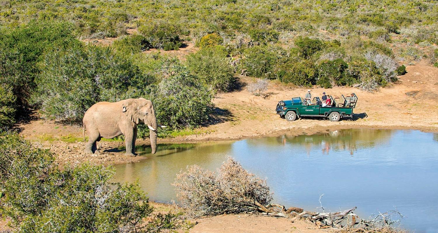 Experience South Africa with the family - DERTOUR