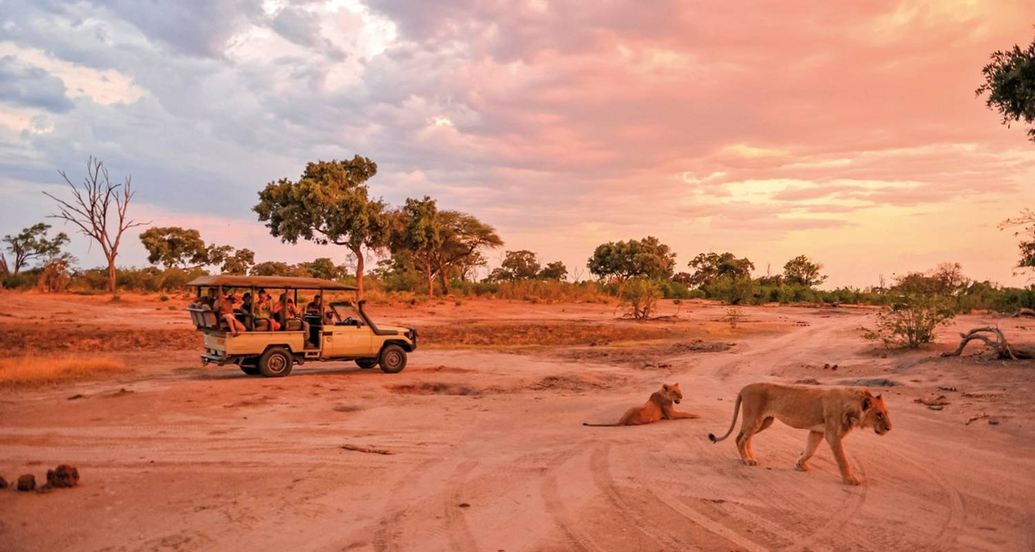 Points forts du safari au cœur de l'Afrique - DERTOUR