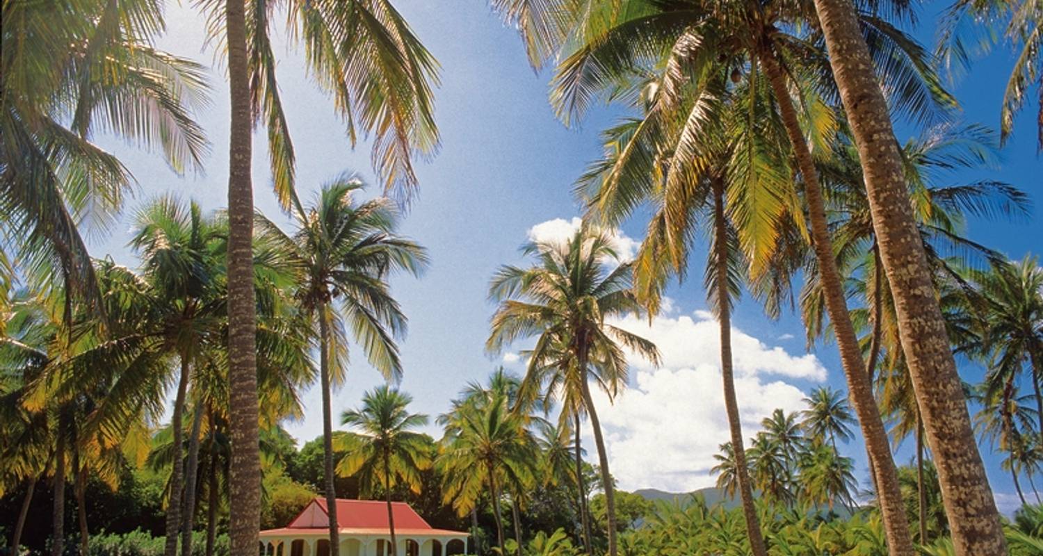 Partner reizen & vakantie pakketten in Guadeloupe