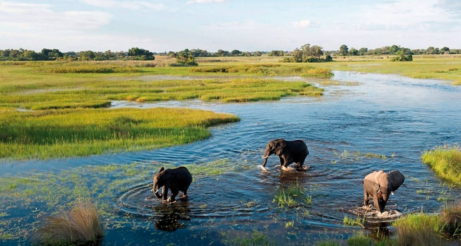 Fly&Drive Botswana - Ein Abenteuer fur Einsteiger - MEIERS WELTREISEN