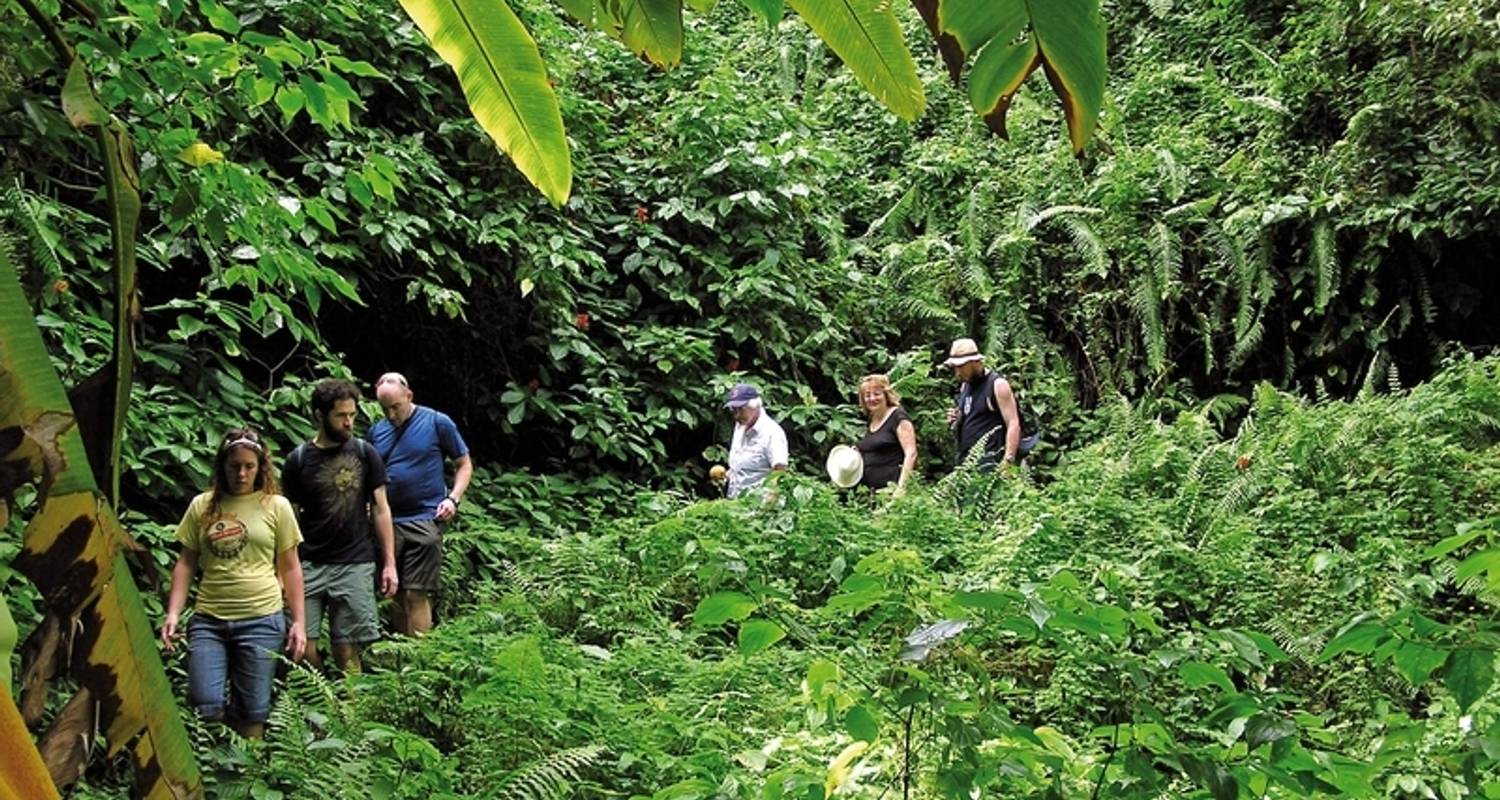 100% Dominica - Insel fur Entdecker - MEIERS WELTREISEN