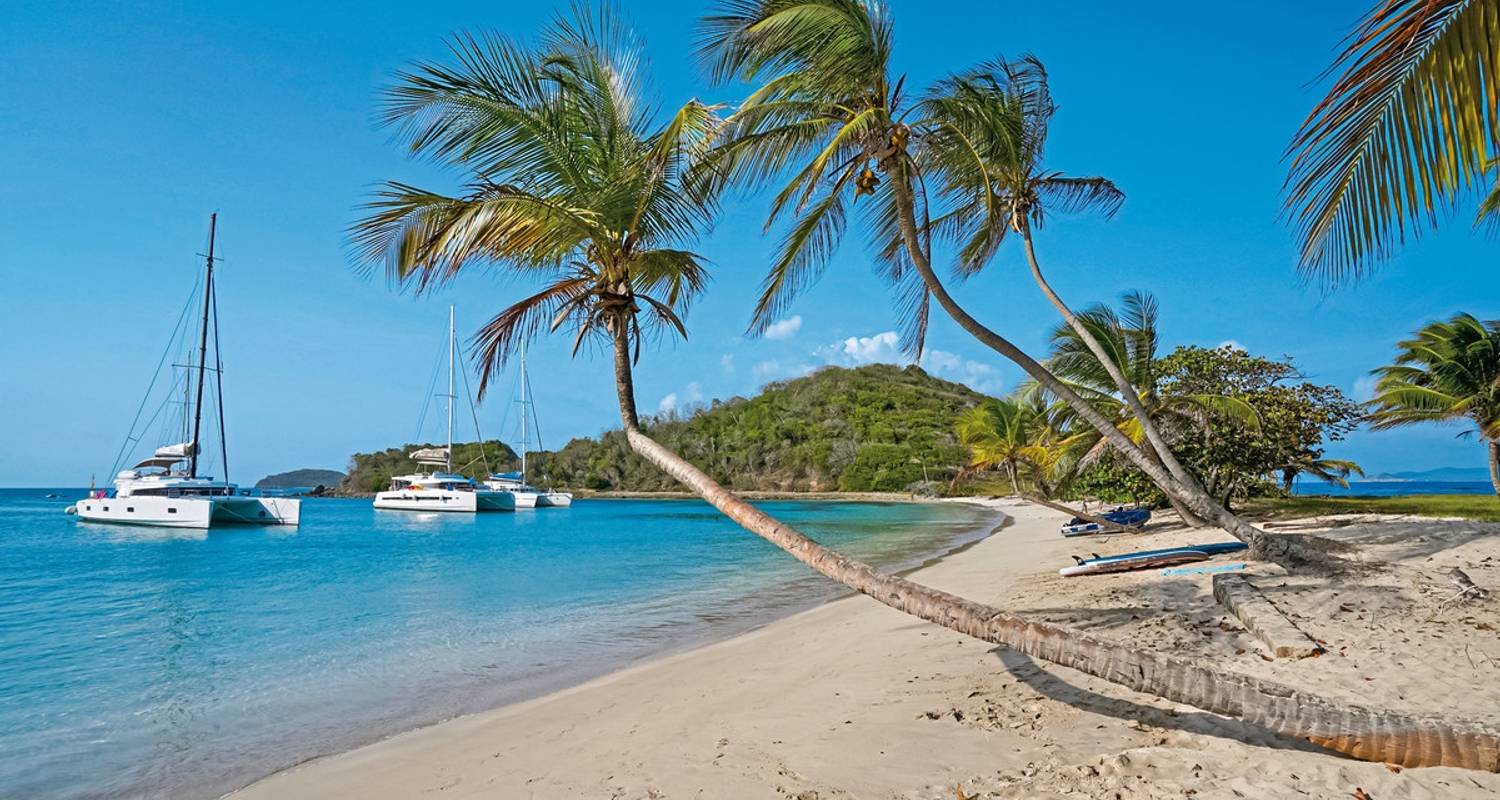 Saint Vincent and the Grenadines Tours & Trips