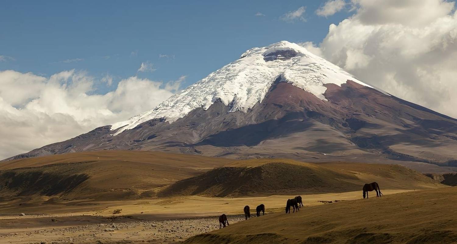 Entdecker Kolumbien, Peru, Ecuador und Galapagos Inseln - Oasis Travel