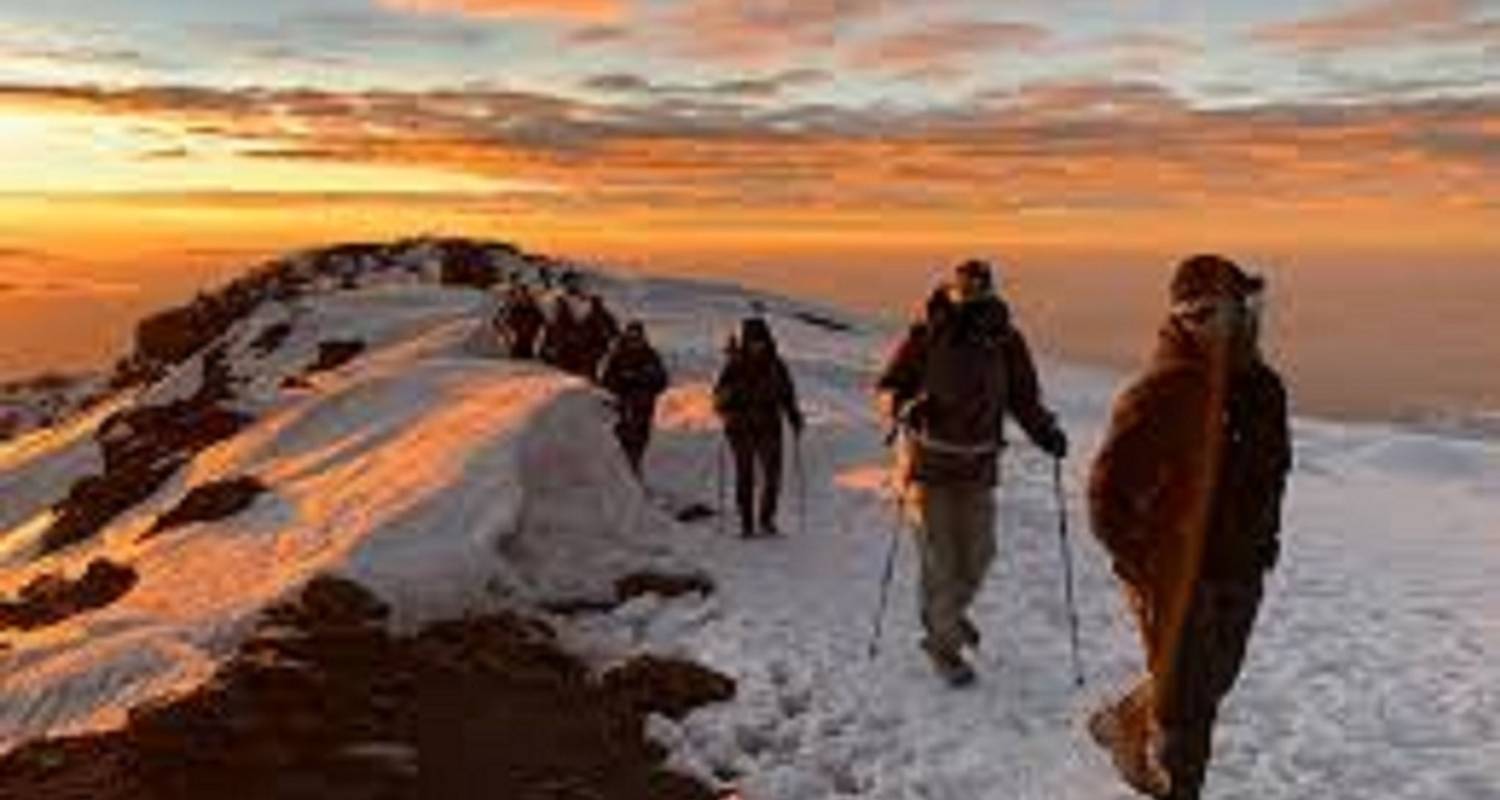 Le Kilimandjaro Trek Tour offre la route de Marangu en une journée - Kilingeadventures