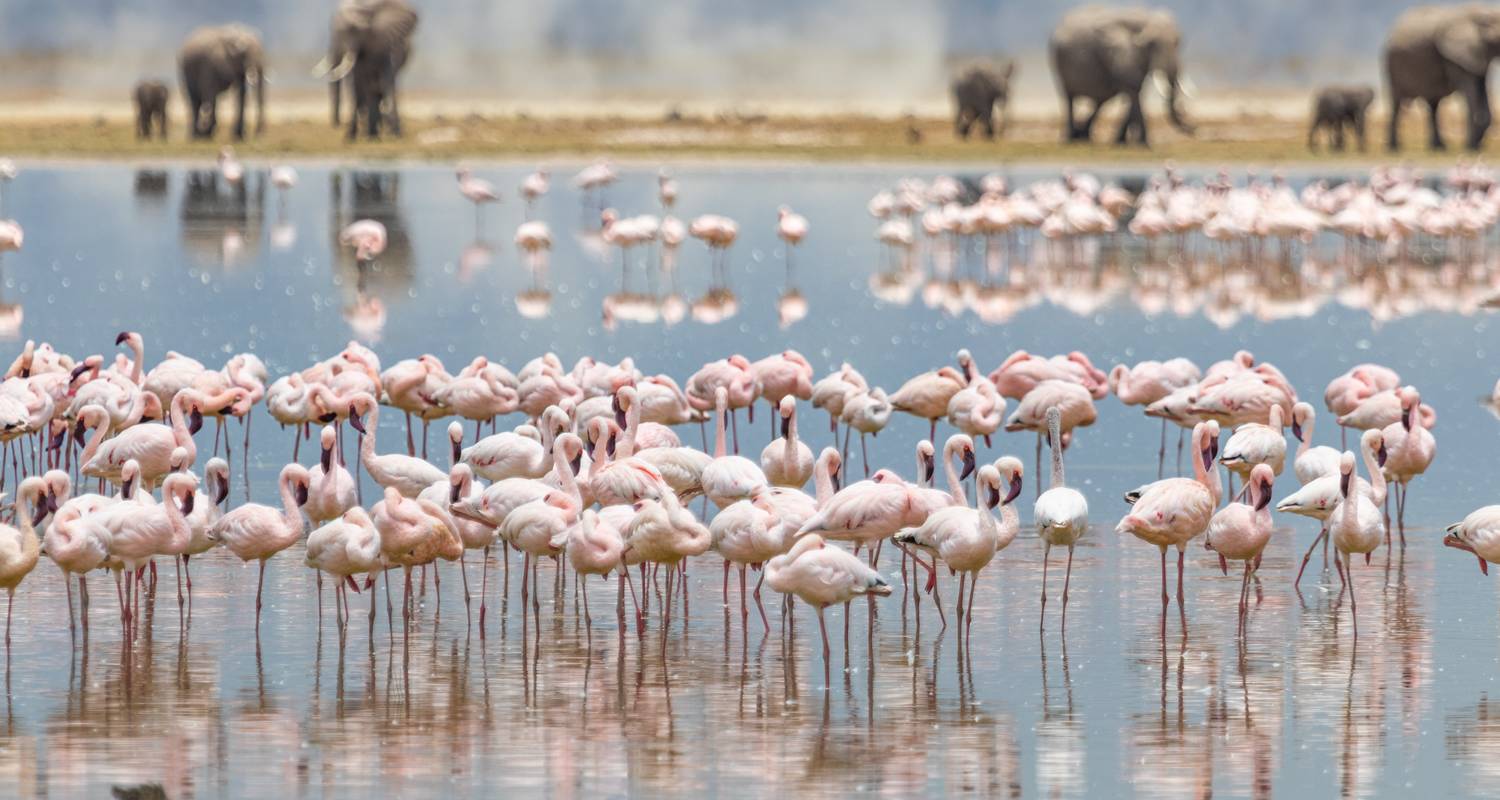 Kenia y Tanzania: el glamping de la vida salvaje se une a una isla paradisíaca - journaway