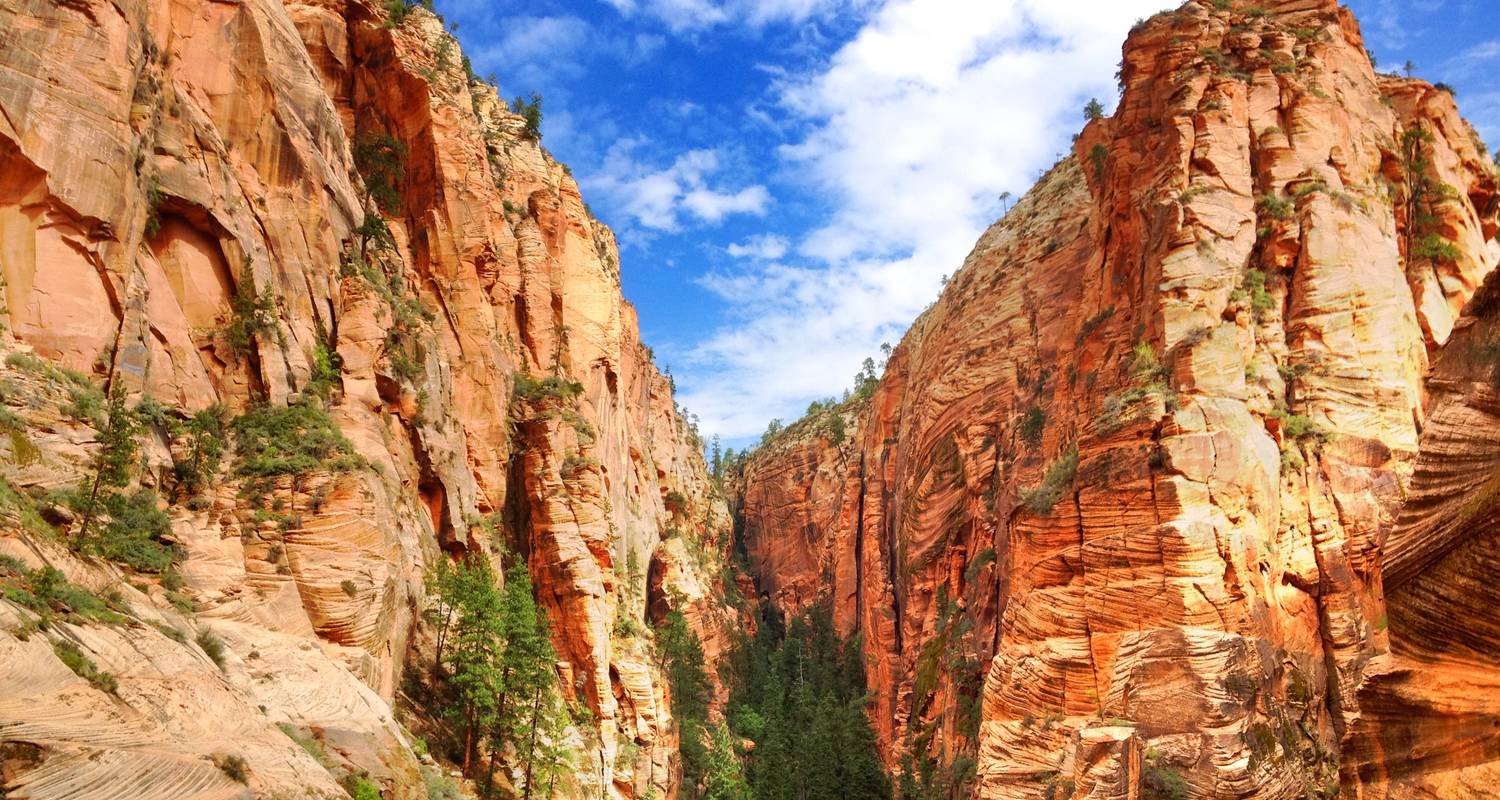 Zion Canyon - Private Tagesreise - Bindlestiff Tours