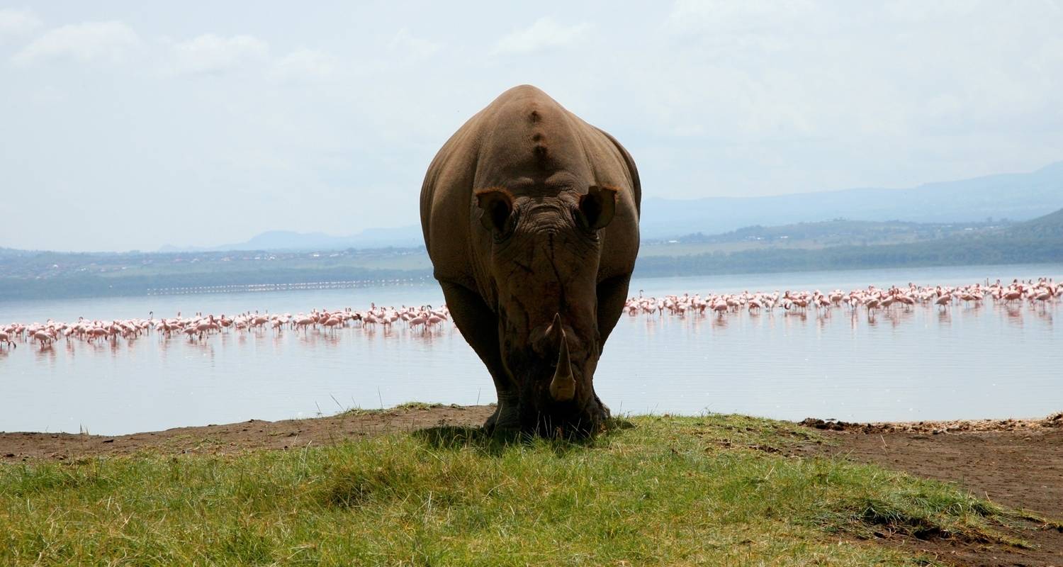 Fully Guided Tours & Trips in Amboseli National Park