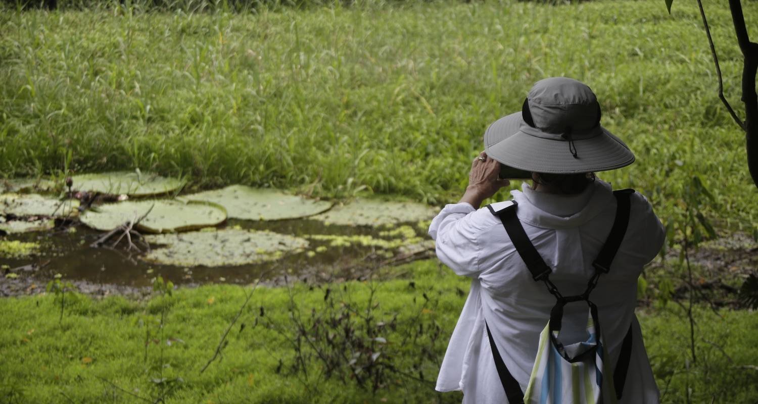 Amazonian Basin Tours from Bogota