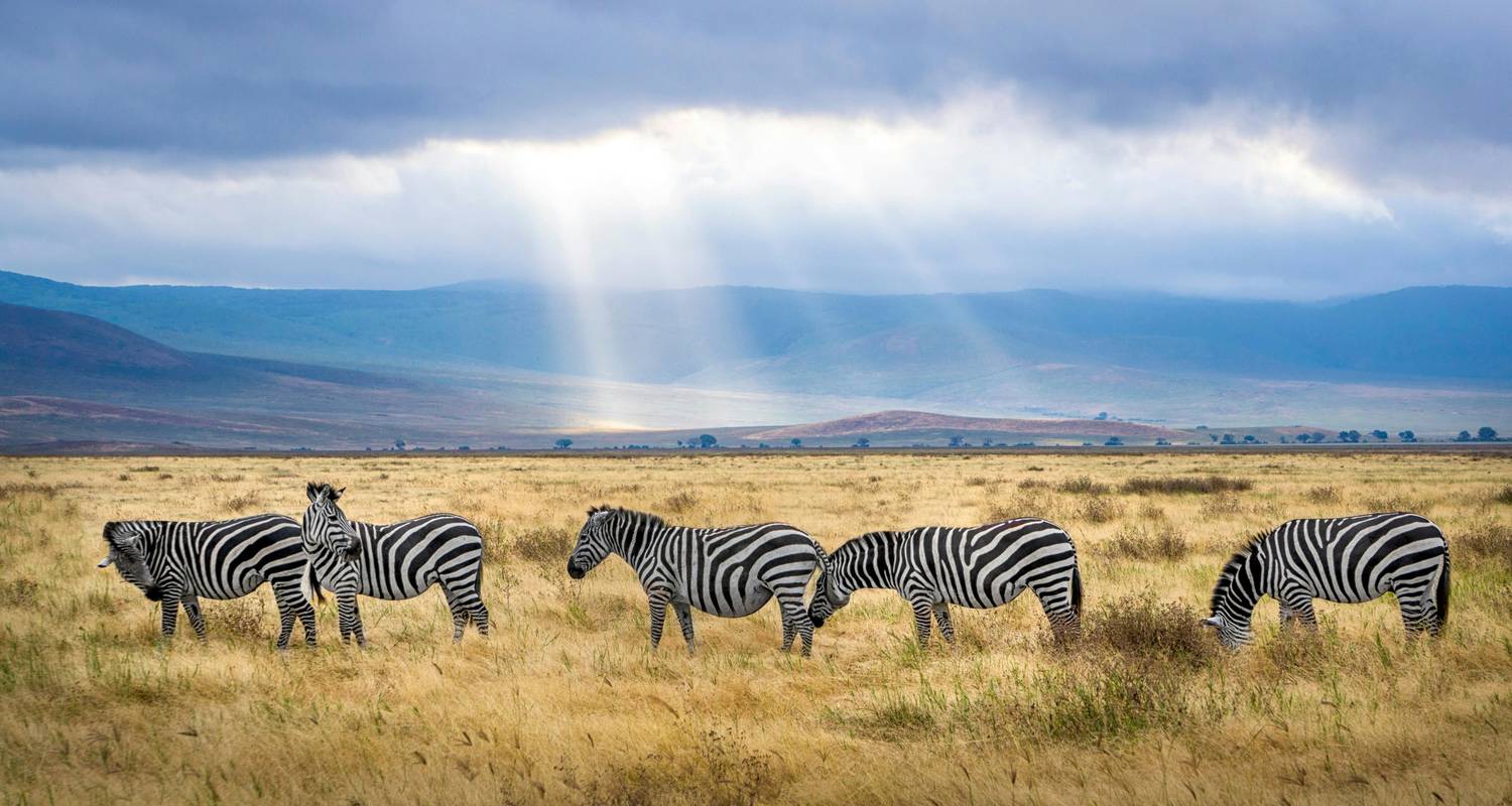 6-Day Adventure Safari in Tarangire, Ngorongoro and Serengeti - Lights on Africa Destinations & Safaris