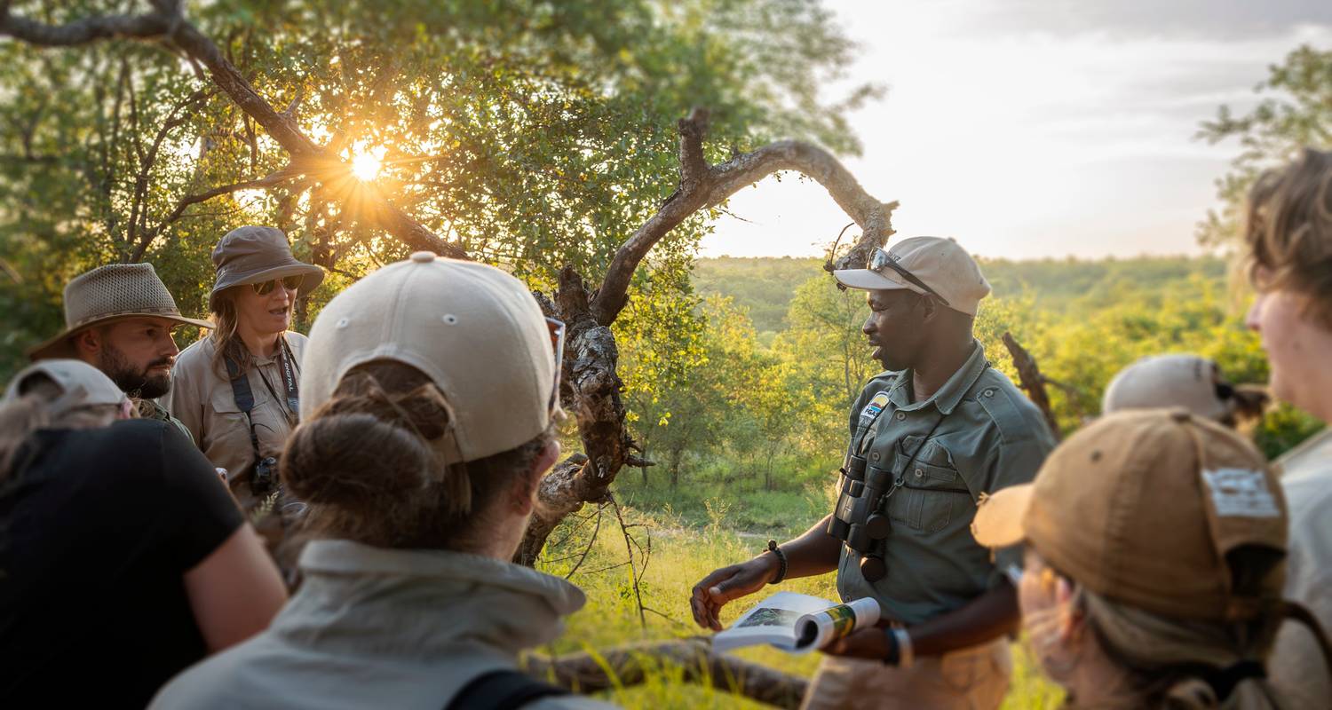 Expedition zur Erhaltung der Wildnis in Südafrika - GVI