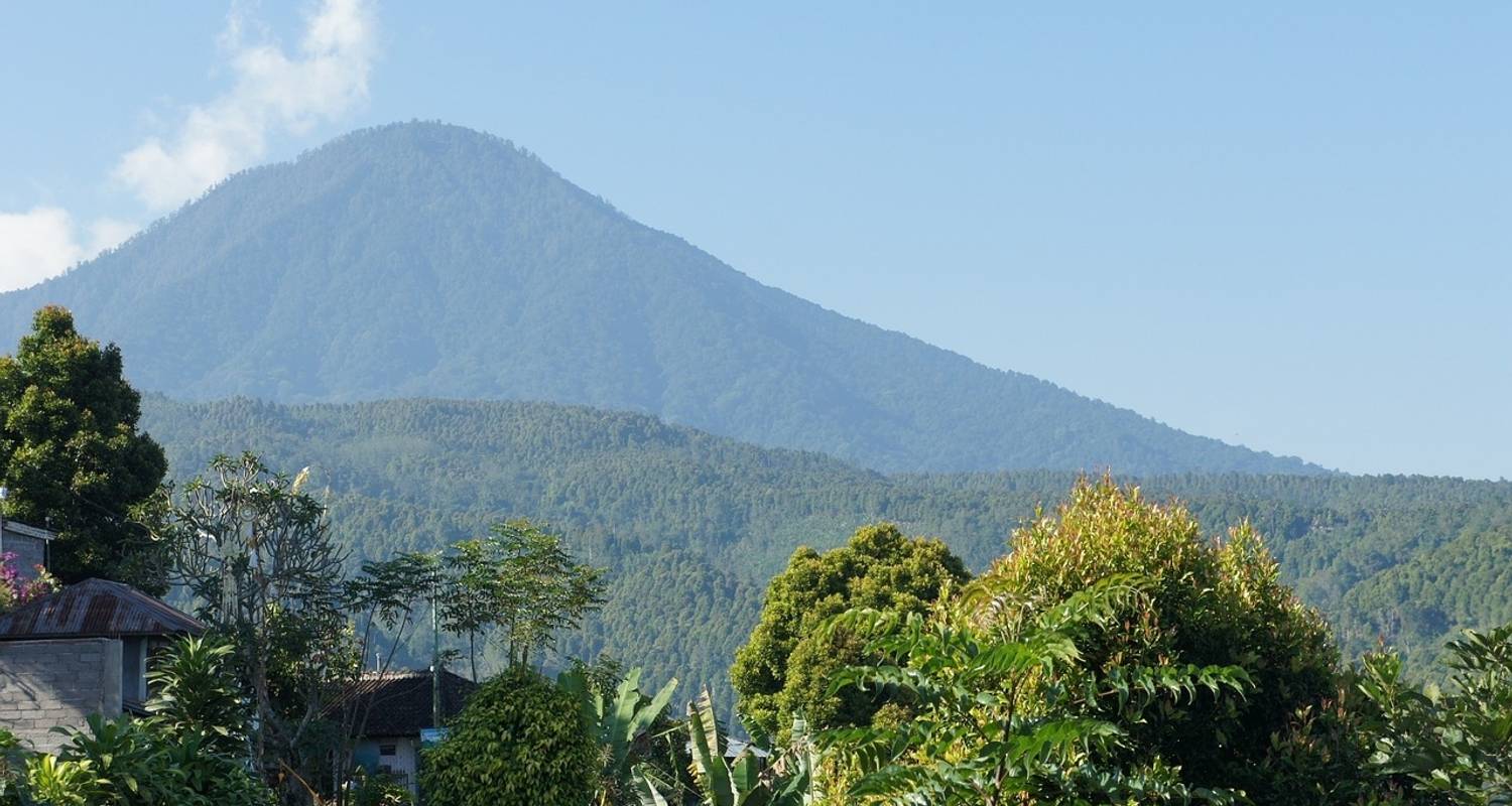 5 Días en Bali con Excursión de Aventura: Senderismo por el Cañón Oculto, Templo de Goa Gajah y Más - STM Tours LLC