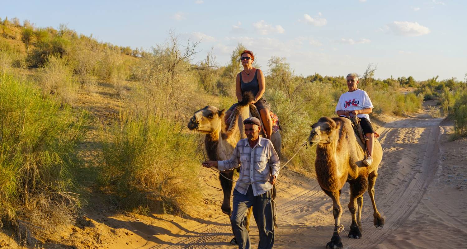 2-Day Desert Yurt Camp Tour - Responsible Travel