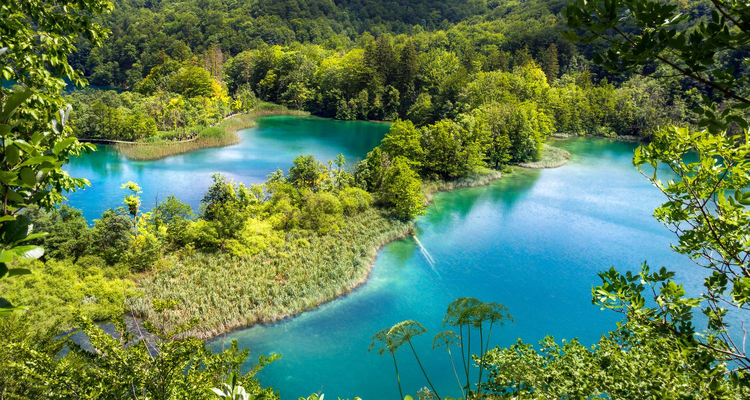 Adriatic discovery: Venice, Istria & the Croatian archipelago