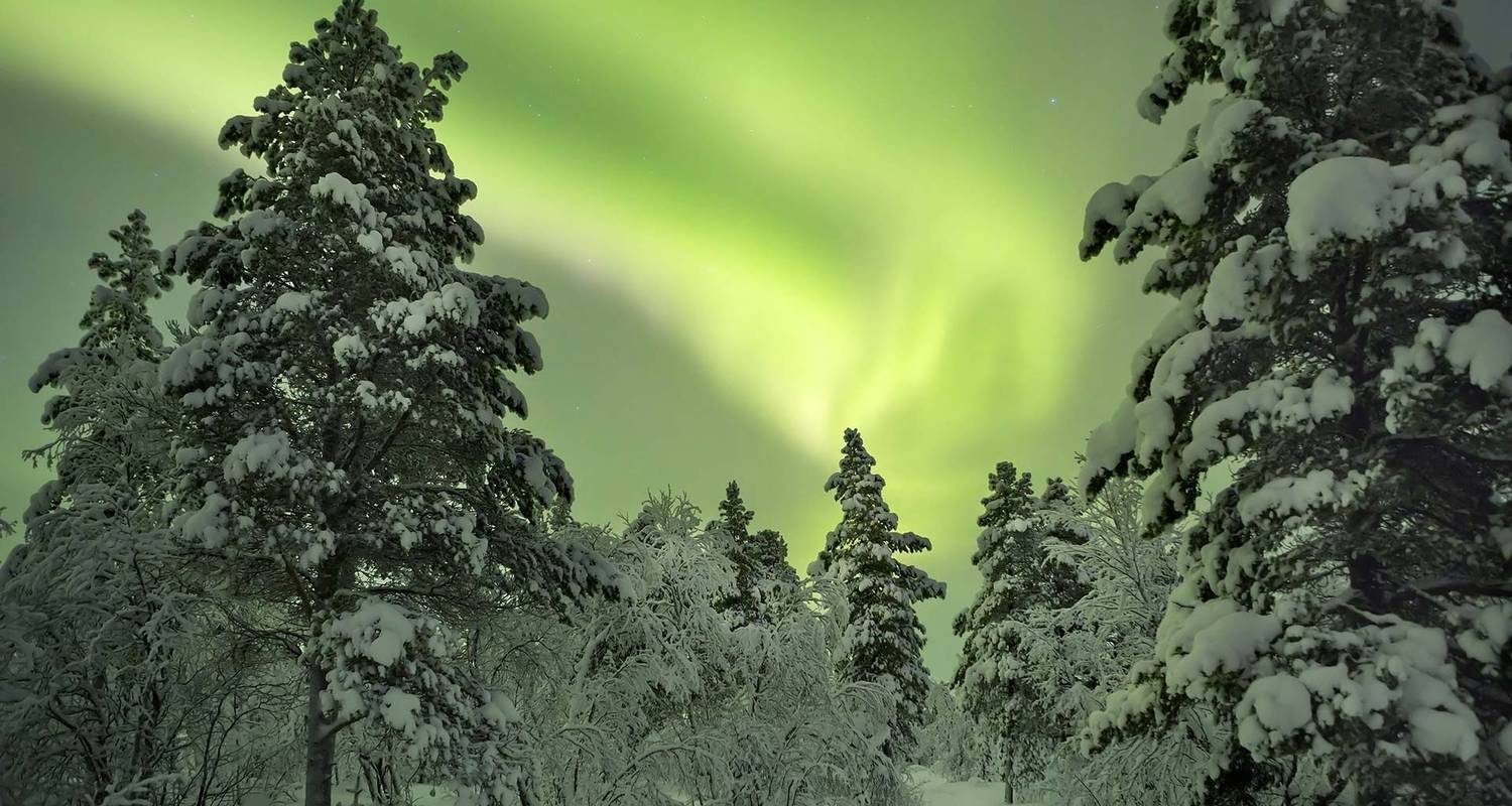 Lapland Tours & Trips