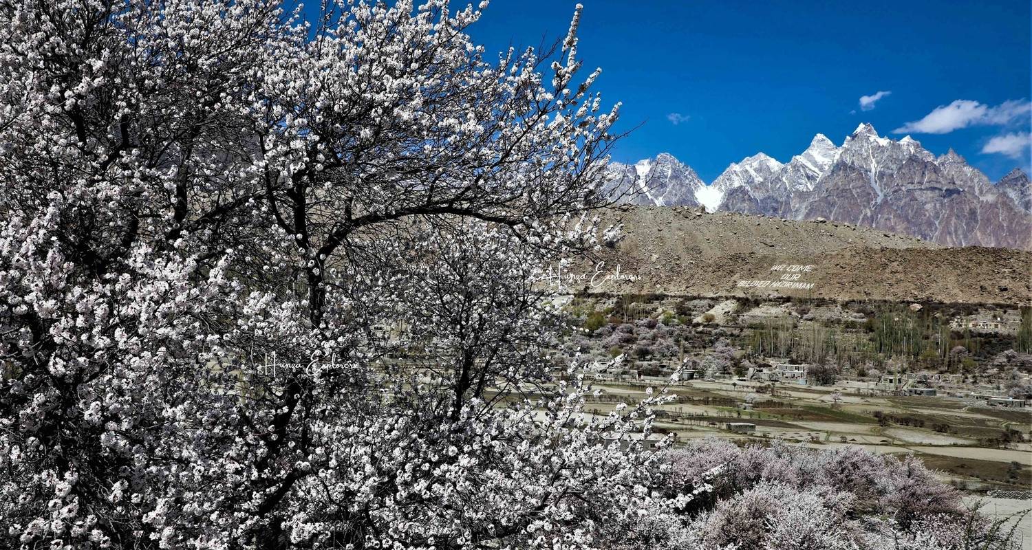 Hunza Pakistán Excursión a los Cerezos en Flor - Hunza Explorers