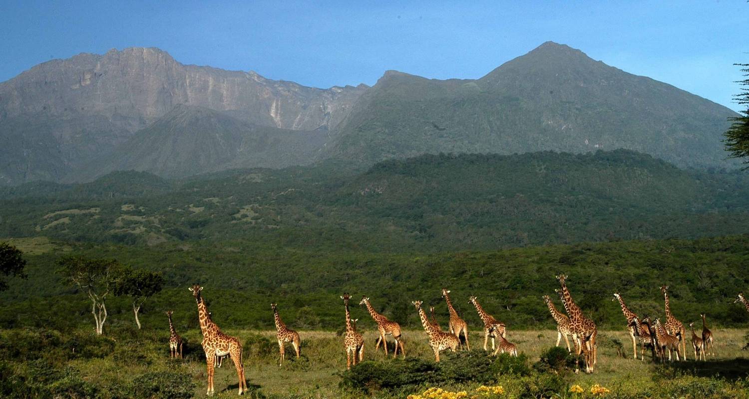 6-Day Tanzania Wilderness Adventure Safari - Lights on Africa Destinations & Safaris