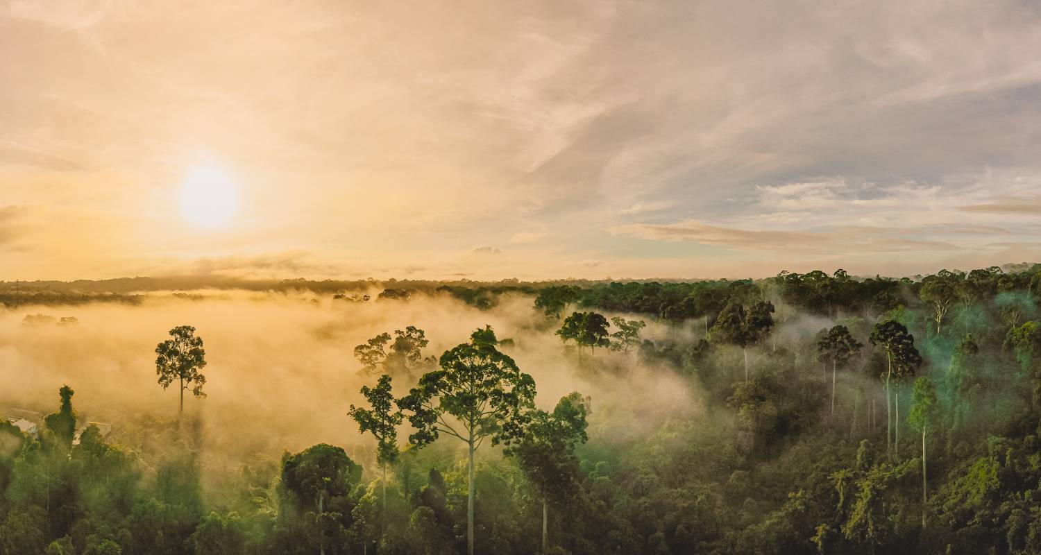 Adventure Malaysia: Borneo's jungle secrets - journaway
