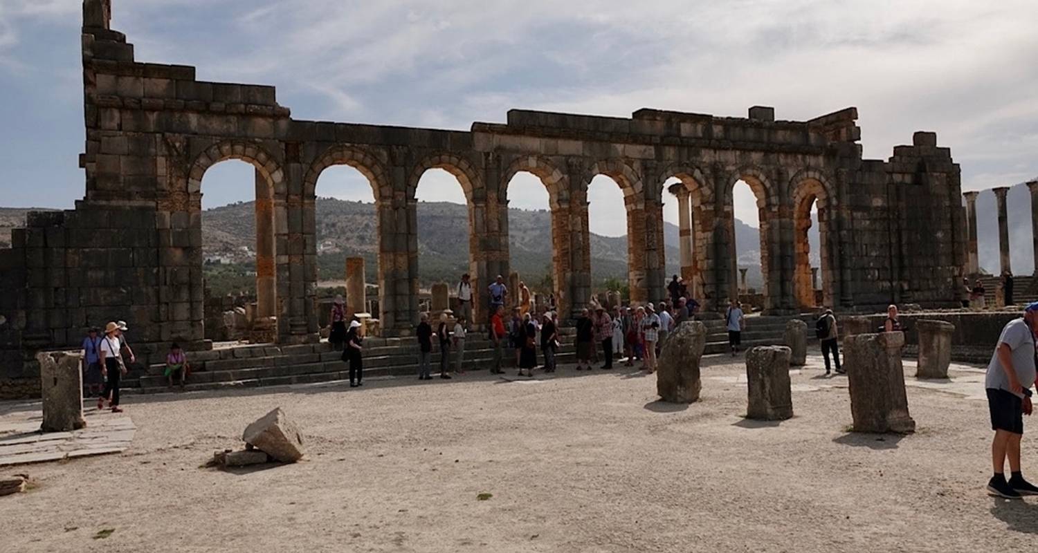 Circuito Privado de Día Completo de Fez a Volubilis y Meknes - Omega Tour