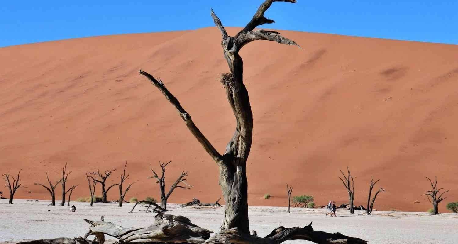 Klassiker von Swakopmund & Sossusvlei Abenteuer mit Unterkunft - Best Active Adventure