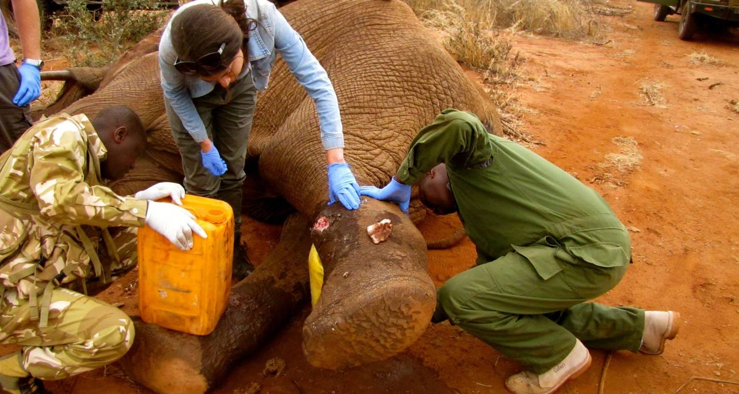 Kerstmis & Nieuwjaar Rondreizen in Tsavo Nationaal Park